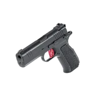 Picture of Dan Wesson DWX Compact