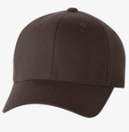 Picture of Wooly 6- Panel FlexFit Hat