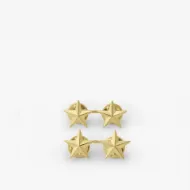 Picture of 2 Stars, 2 Posts and Clutch Backs, Pairs 1/2"