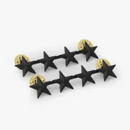 Picture of 4 Stars, 2 Posts and Clutch Backs, Pairs 1"