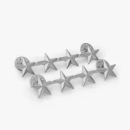 Picture of 4 Stars, 2 Posts and Clutch Backs, Pairs 1"