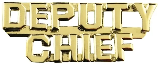 Picture of Deputy Chief (2 Rows) Die Struck Letters, 2 Post and Clutch Back, Pairs, 1/4" High