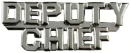 Picture of Deputy Chief (2 Rows) Die Struck Letters, 2 Post and Clutch Back, Pairs, 1/4" High