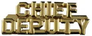 Picture of Chief Deputy (2 Rows) Die Struck Letters, 2 Post and Clutch Back, Pairs, 1/4" High